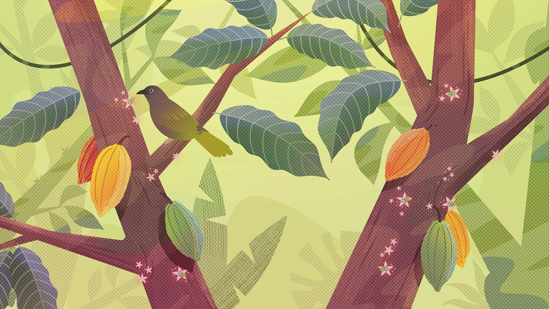 Cacao Scope Styleframe 04