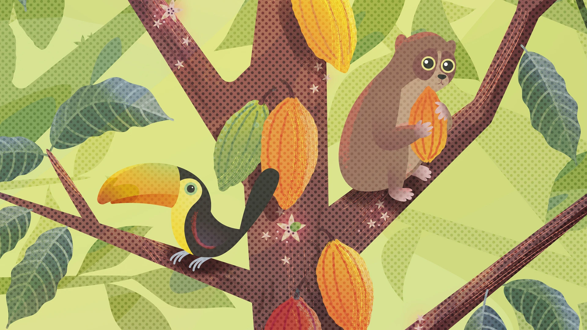 Cacao Scope Styleframe 01