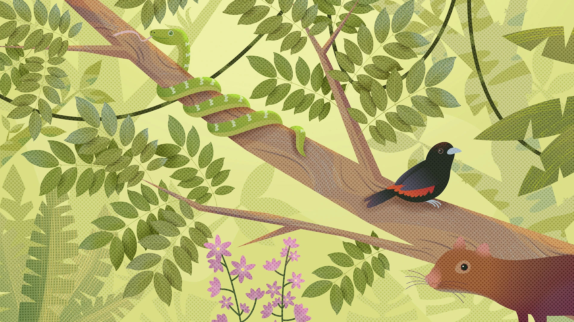 Cacao Scope Styleframe 02