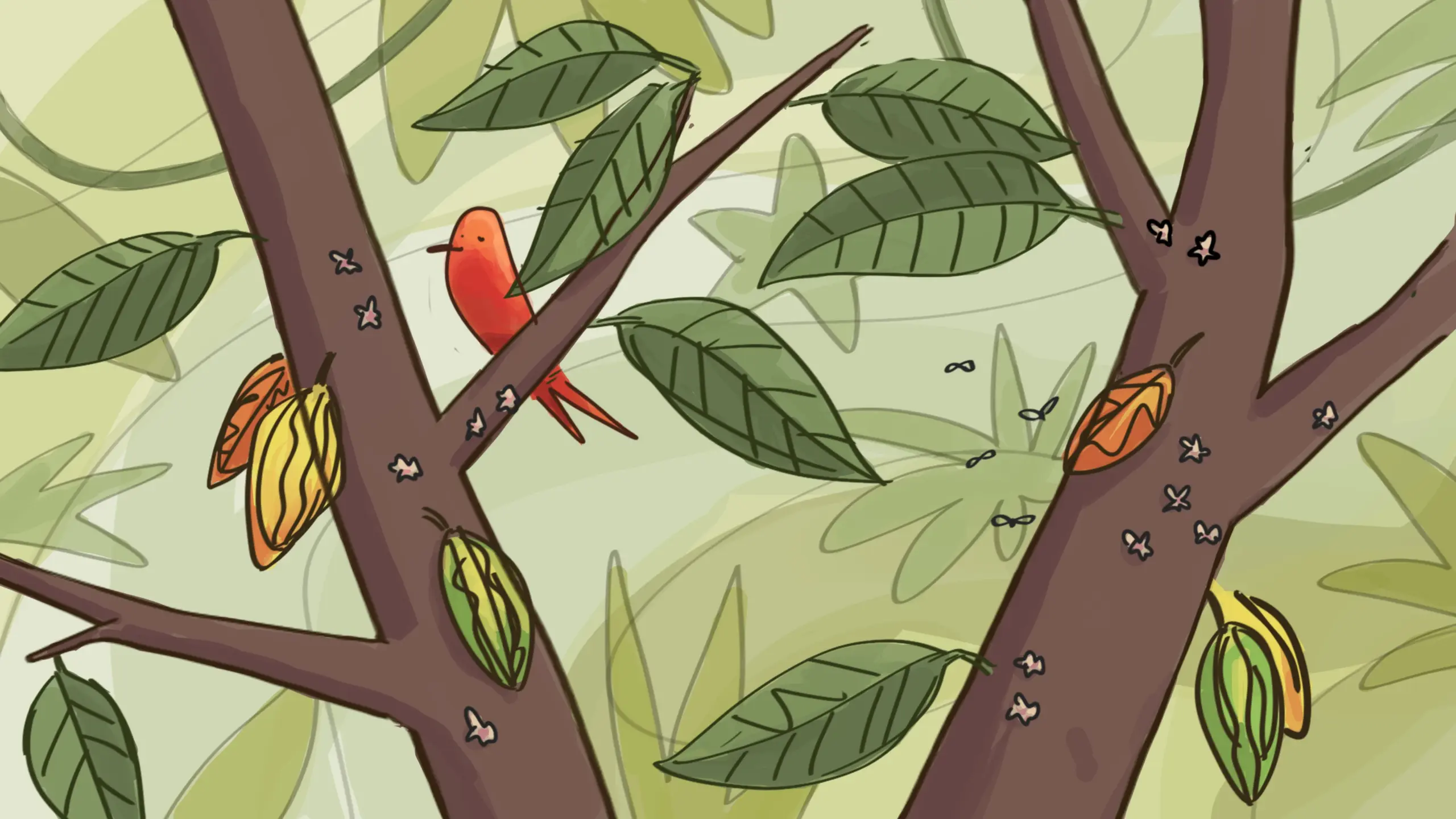 Cacao Scope sketches01